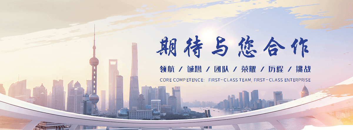 饶阳海狮租赁公司